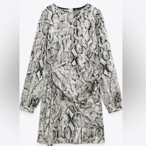 Zara Animal Print Long Sleeve Dress